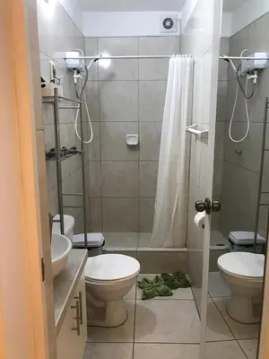 a bathroom with two toilets and a shower at Albano habitación acústica cocina y baño in Chosica