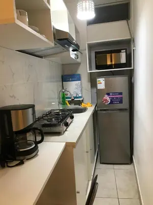 a small kitchen with a stove and a refrigerator at Albano habitación acústica cocina y baño in Chosica