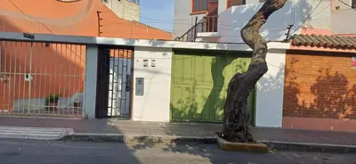 a tree sitting on a street in front of a building at Colores Hospedaje Miraflores in Lima