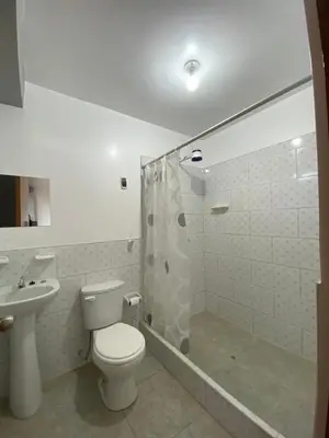a bathroom with a toilet and a shower and a sink at Casa Hospedaje El Trebol in Oxapampa