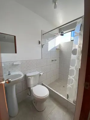 a bathroom with a toilet and a sink and a shower at Casa Hospedaje El Trebol in Oxapampa