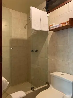 a bathroom with a shower and a toilet at Panorama B&B in Machu Picchu