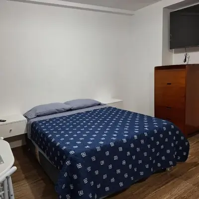 Estudio o monoambiente