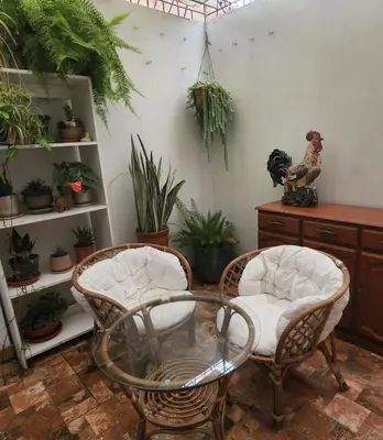 two chairs and a glass table in a room with plants at CASA CULTURA in Lima