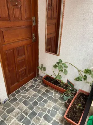 a room with a door and potted plants on the floor at Departamento cerca al boulevard in Lima