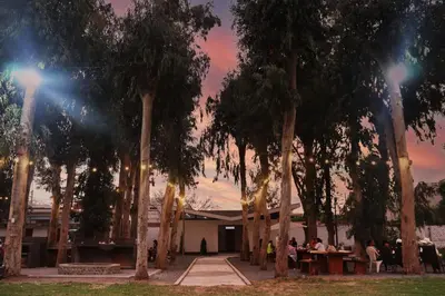 a group of people sitting at tables under trees at Los Andes - Restaurant & Bungalows in Cieneguilla