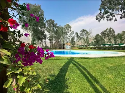 a swimming pool in a yard with purple flowers at HOTEL RUSTICA CIENEGUILLA in Cieneguilla