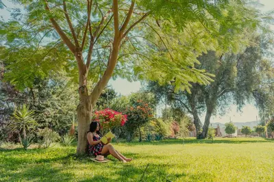 a woman sitting under a tree reading a book at Hotel Fundo San Rafael in Nazca