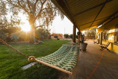 a hammock on a porch with the sun shining at Hotel Fundo San Rafael in Nazca