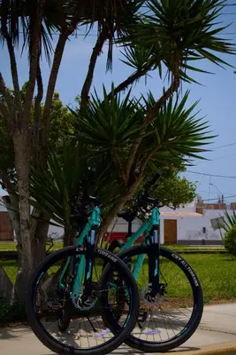 a blue bike parked next to a tree at Casa mar surfhouse in Punta Hermosa