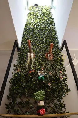 a christmas tree made out of green plants at Casa sabina hostel in Lima