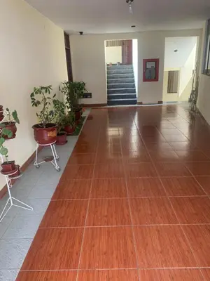 a hallway with a wooden floor and potted plants at Apartamento LA ALBORADA para 7 con cochera in Huancayo