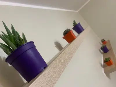 a shelf with three potted plants on it at Apartamento LA ALBORADA para 7 con cochera in Huancayo