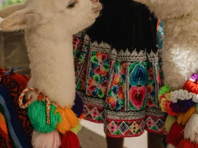 a stuffed rabbit wearing a mexican outfit at Novotel Cusco in Cusco