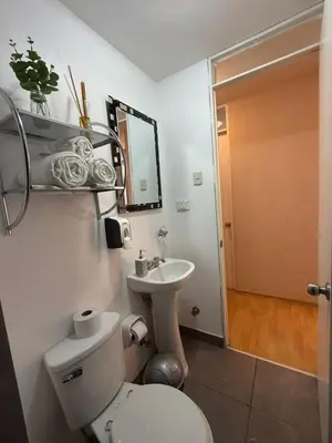 a bathroom with a toilet and a sink and a mirror at dos apartamentos cerca de la laguna de Huacachina in Ica