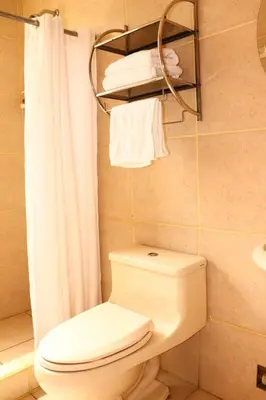 a bathroom with a toilet and a shower curtain at Full Moon Eco Lodge in Ollantaytambo
