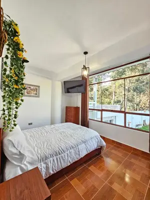 a bedroom with a bed and a plant on the wall at catañuñi in Huancayo