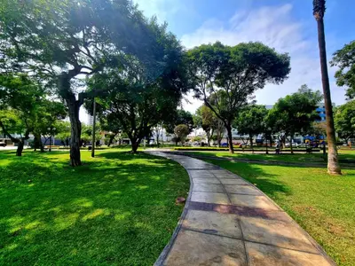a path in a park with trees and grass at DuplexTOP Miraflores Queen SmartTV Lima 1B 101 in Lima