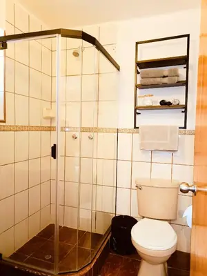 a bathroom with a toilet and a shower at Casa Pardo in Cusco