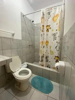 a bathroom with a toilet and a shower at Ravenala Paracas Hostel & Apartment in Paracas