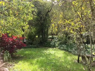 a garden with green grass and trees and flowers at HOSTEL INKA PACCHA - cascada inka in Ollantaytambo