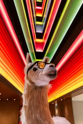 a llama wearing sunglasses in front of a neon sign at Nhow Lima in Lima