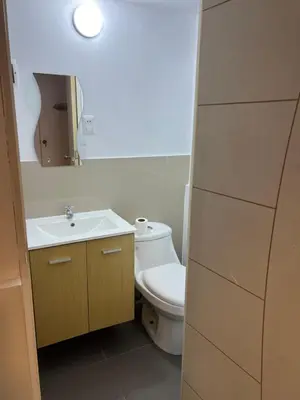 a bathroom with a white toilet and a sink at Surfer Hostel El Quilla Punta Hermosa in Punta Hermosa