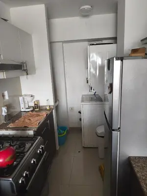 a kitchen with a stove and a refrigerator at Adriane in Lima