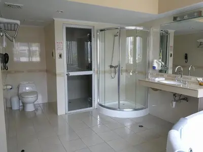 a bathroom with a shower and a toilet at Blue Star Hotel in Lima