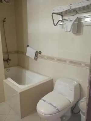a white bathroom with a toilet and a bath tub at Blue Star Hotel in Lima
