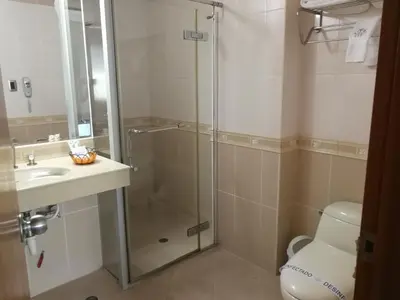 a bathroom with a shower and a sink and a toilet at Blue Star Hotel in Lima