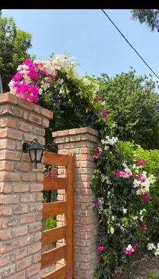 a brick fence with flowers and a light on it at Alquiler Casa de Campo Asia Cañete in San Andrés
