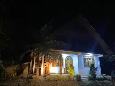 a house with a palm tree in the night at Casa Las Palmeras in Oxapampa