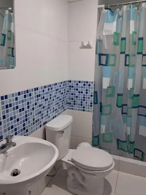 a bathroom with a white toilet and a sink at Amplio Departamento amoblado, Condominio Parques de la Huaca - San Miguel in Lima