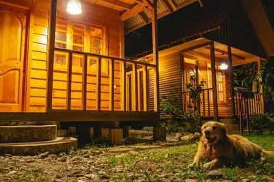 a dog laying in the grass in front of a house at Palo Alto Lodge in Oxapampa