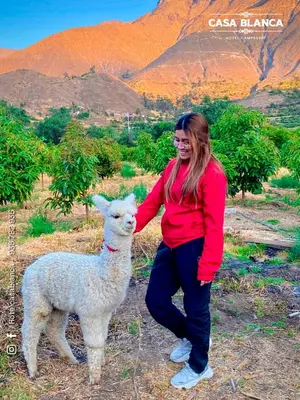 a woman standing next to a llama in a field at HOTEL HUAYTARA CasaBlanca in Huaytará