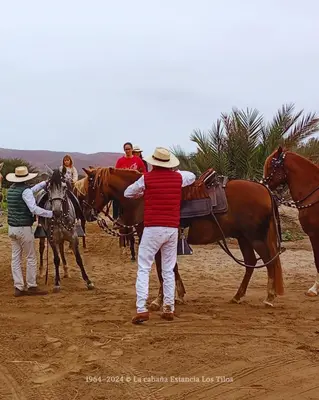 Gallery image of La cabaña estancia Los Tilos in Hacienda Santo Domingo
