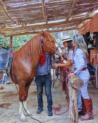 Gallery image of La cabaña estancia Los Tilos in Hacienda Santo Domingo