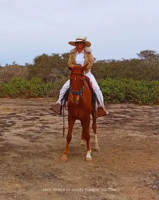 Gallery image of La cabaña estancia Los Tilos in Hacienda Santo Domingo