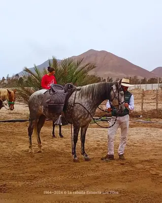 Gallery image of La cabaña estancia Los Tilos in Hacienda Santo Domingo