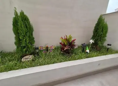 a garden with trees and plants on a ledge at María Paz Home in Lima