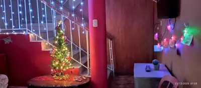 a staircase with a christmas tree in a room at Departamento con Cochera gratuita dentro de Instalaciones 8p Tierra del Sol Eterno Ica centro in Ica