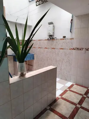 a bathroom with a plant in a vase on a counter at Apartamento acogedor en La Perla in Lima