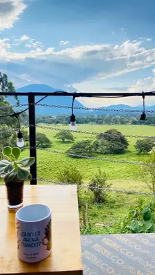 a coffee cup sitting on a table with a view of a field at Vista al valle in Oxapampa