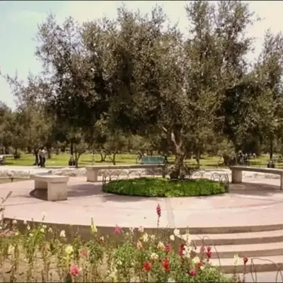 B&B El Olivar