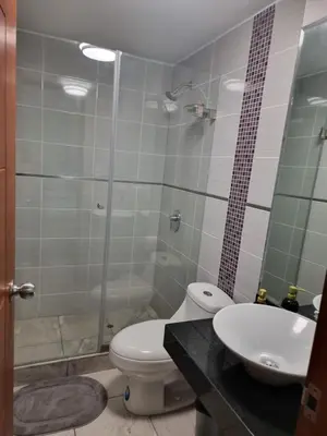 a bathroom with a toilet and a sink and a shower at Hermoso Departamento en Pueblo Libre in Lima