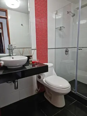 a bathroom with a toilet and a sink and a shower at Hermoso Departamento en Pueblo Libre in Lima