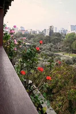 a view of a city from a balcony with red flowers at Gran Olivar Suite de San Isidro -3 Habitaciones in Lima