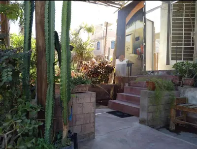 a house with a bunch of plants on the porch at Hermanas Pimentel in Ica