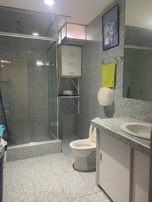 a bathroom with a shower and a toilet and a sink at Ali Home in Punta Negra